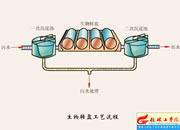 023-D(zhun)Pˇ